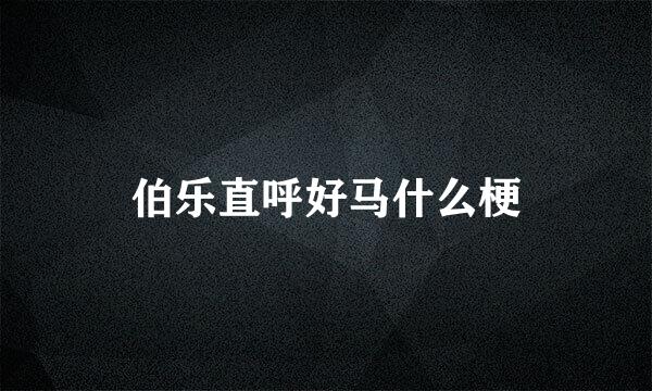 伯乐直呼好马什么梗