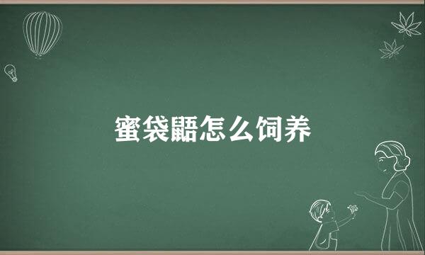 蜜袋鼯怎么饲养