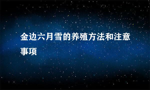 金边六月雪的养殖方法和注意事项