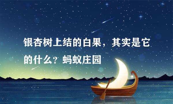 银杏树上结的白果，其实是它的什么？蚂蚁庄园