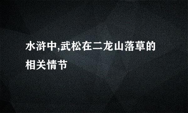 水浒中,武松在二龙山落草的相关情节