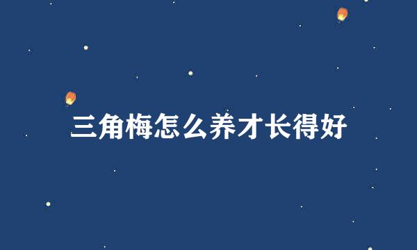 三角梅怎么养才长得好