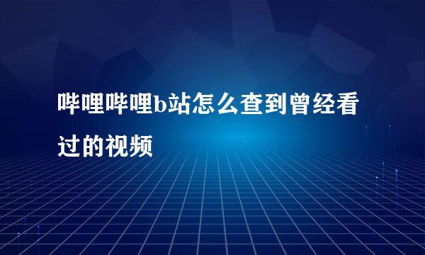 哔哩哔哩b站怎么查到曾经看过的视频