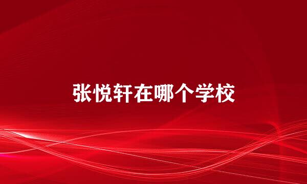 张悦轩在哪个学校