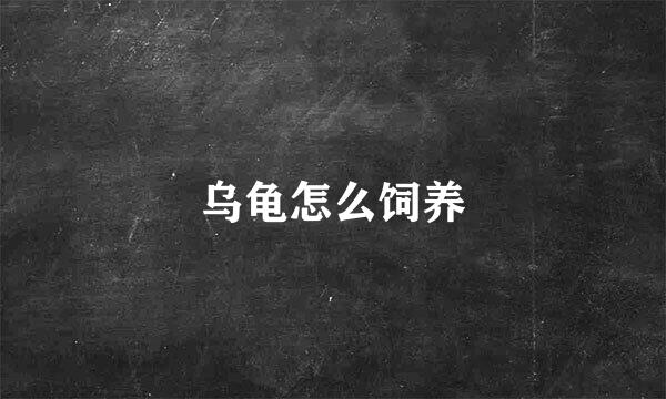 乌龟怎么饲养