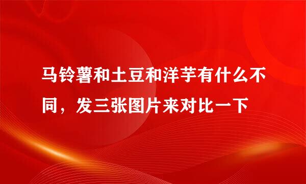 马铃薯和土豆和洋芋有什么不同，发三张图片来对比一下