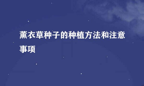 薰衣草种子的种植方法和注意事项