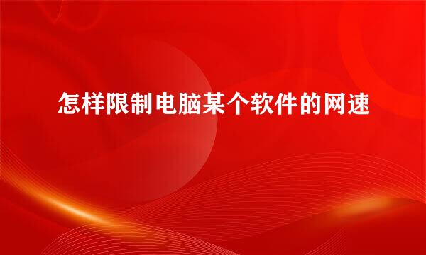 怎样限制电脑某个软件的网速