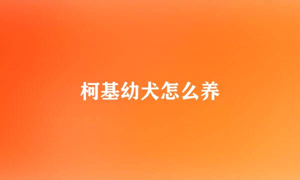 柯基幼犬怎么养