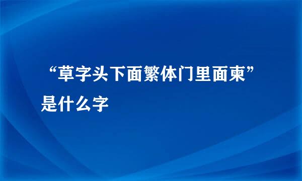 “草字头下面繁体门里面柬”是什么字