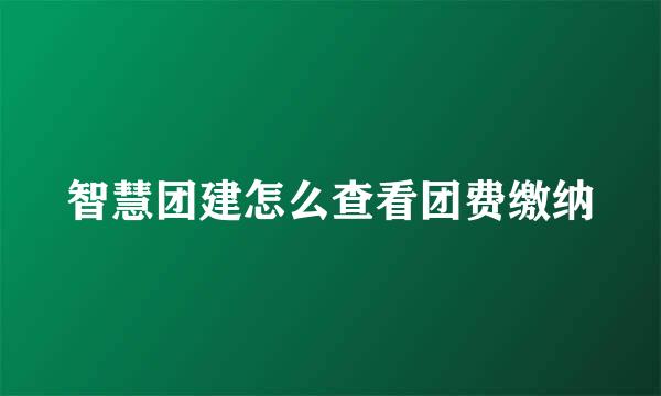 智慧团建怎么查看团费缴纳