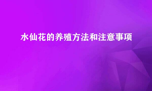 水仙花的养殖方法和注意事项