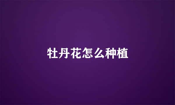 牡丹花怎么种植