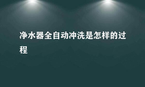 净水器全自动冲洗是怎样的过程