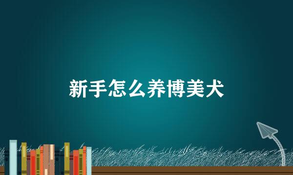 新手怎么养博美犬