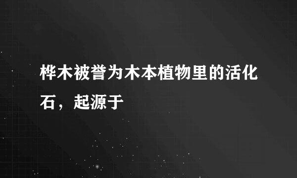 桦木被誉为木本植物里的活化石，起源于