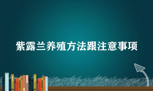紫露兰养殖方法跟注意事项