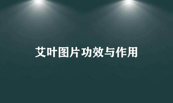 艾叶图片功效与作用