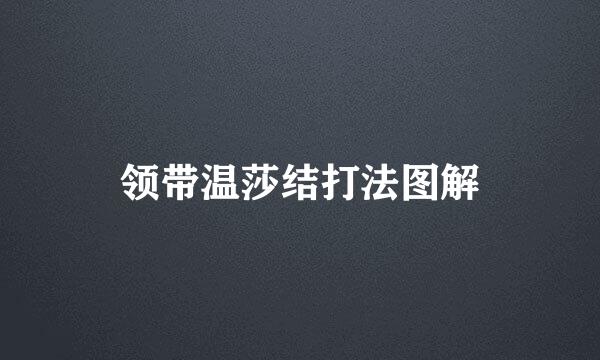 领带温莎结打法图解