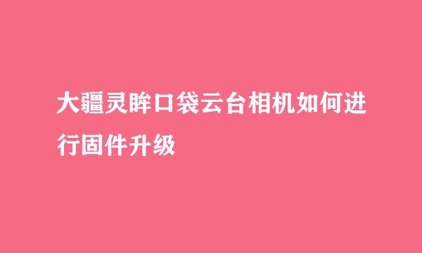 大疆灵眸口袋云台相机如何进行固件升级