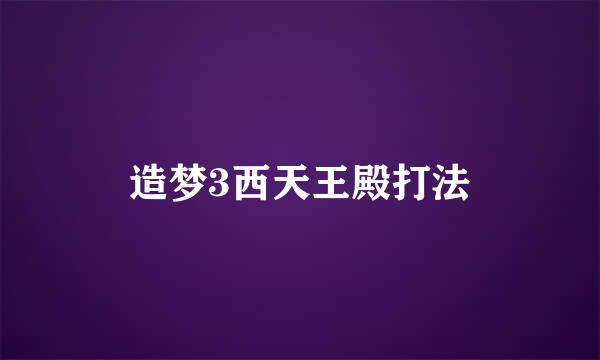造梦3西天王殿打法