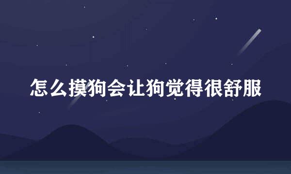 怎么摸狗会让狗觉得很舒服