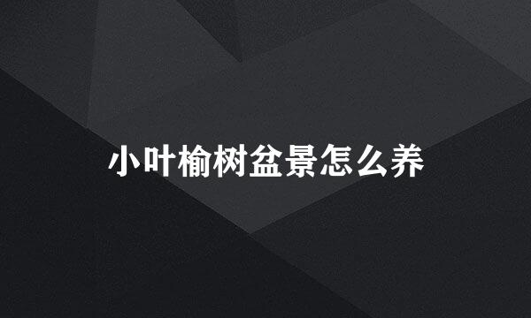 小叶榆树盆景怎么养