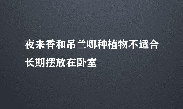 夜来香和吊兰哪种植物不适合长期摆放在卧室