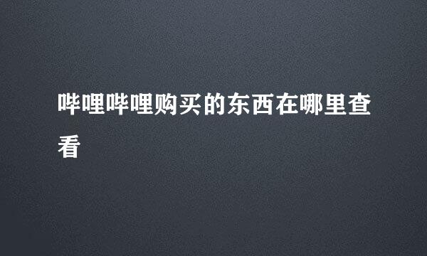 哔哩哔哩购买的东西在哪里查看