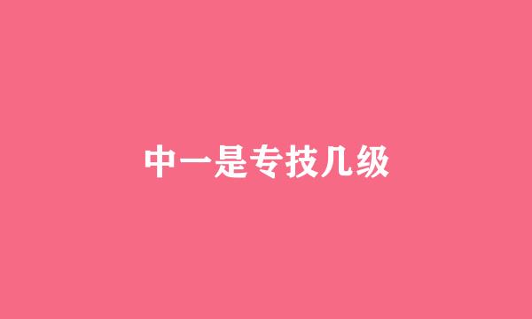 中一是专技几级