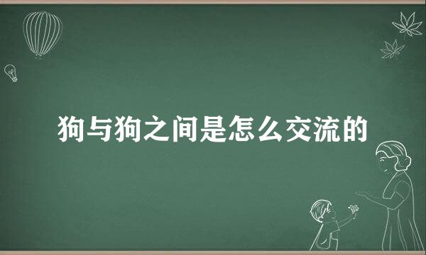 狗与狗之间是怎么交流的