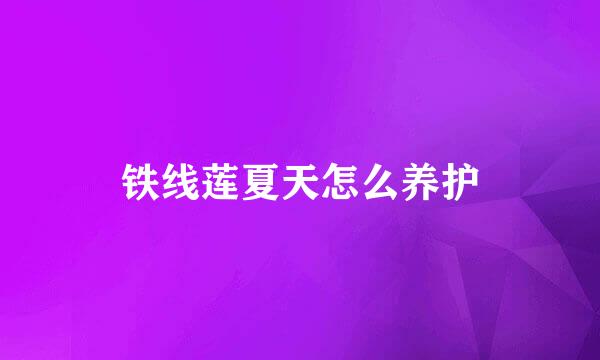 铁线莲夏天怎么养护