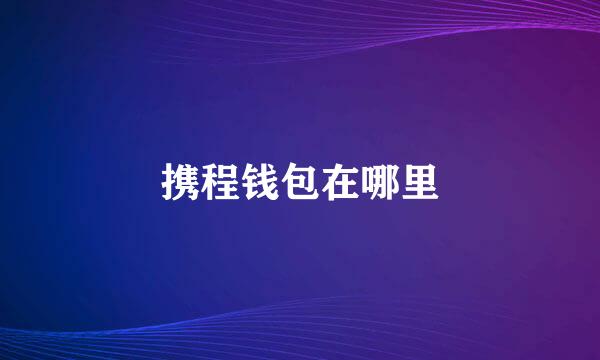 携程钱包在哪里