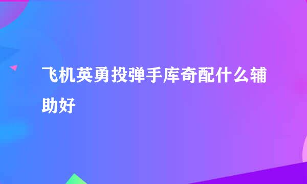 飞机英勇投弹手库奇配什么辅助好