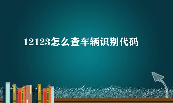 12123怎么查车辆识别代码