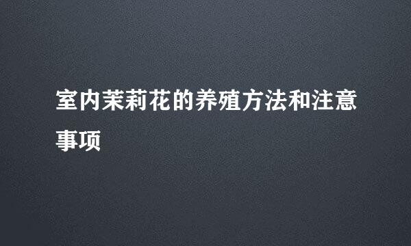 室内茉莉花的养殖方法和注意事项