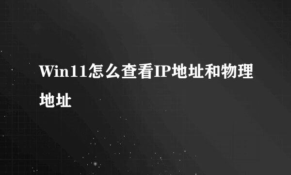 Win11怎么查看IP地址和物理地址