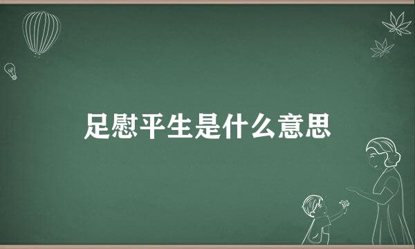 足慰平生是什么意思