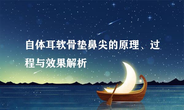 自体耳软骨垫鼻尖的原理、过程与效果解析