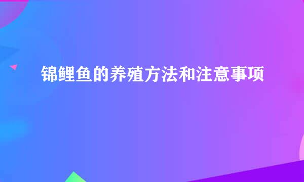 锦鲤鱼的养殖方法和注意事项