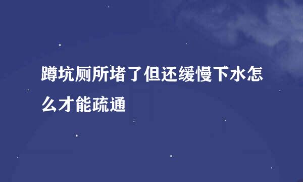 蹲坑厕所堵了但还缓慢下水怎么才能疏通