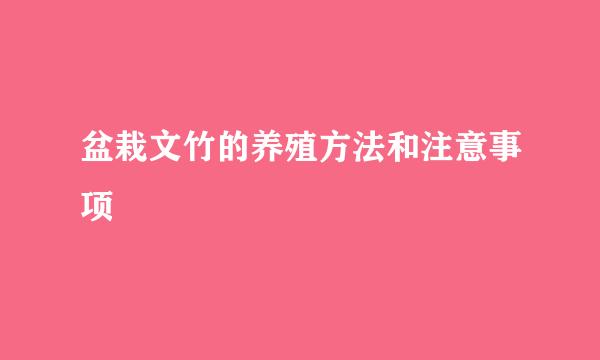 盆栽文竹的养殖方法和注意事项