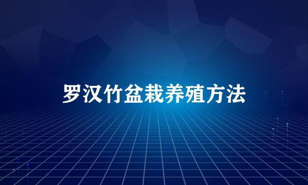 罗汉竹盆栽养殖方法