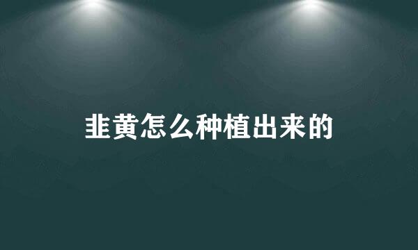 韭黄怎么种植出来的