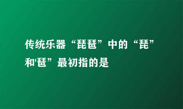 传统乐器“琵琶”中的“琵”和'琶”最初指的是