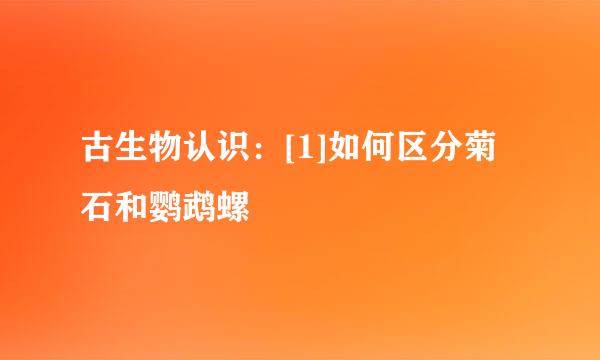 古生物认识：[1]如何区分菊石和鹦鹉螺