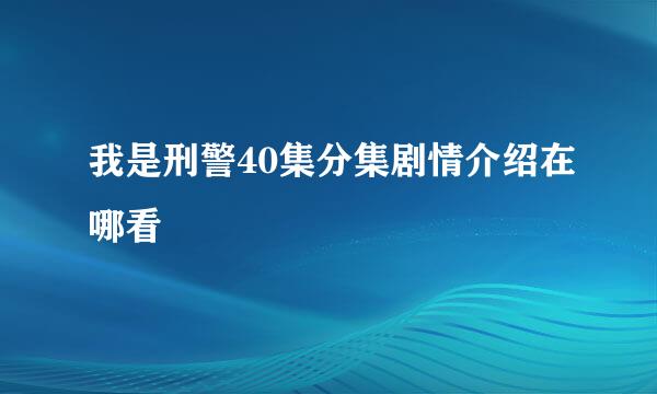 我是刑警40集分集剧情介绍在哪看