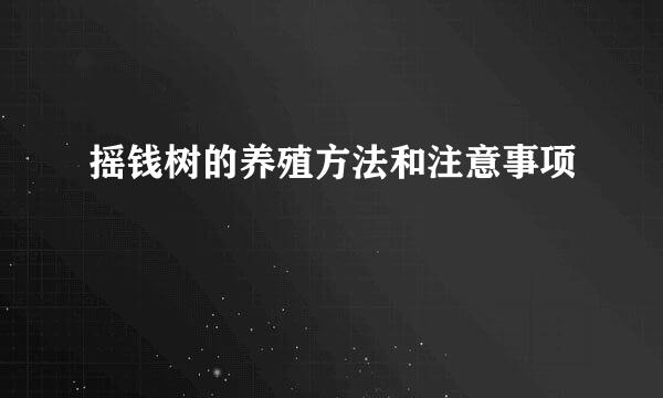 摇钱树的养殖方法和注意事项