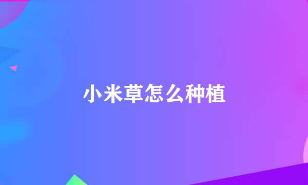 小米草怎么种植