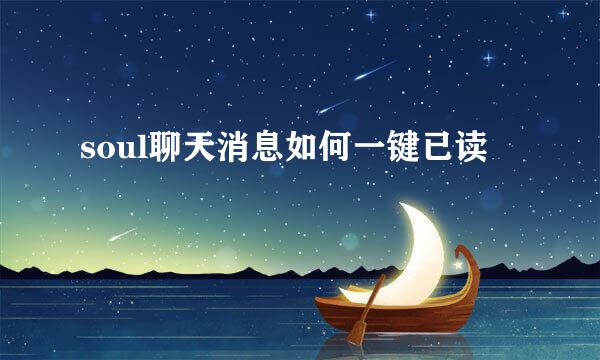 soul聊天消息如何一键已读